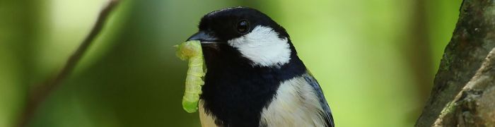 img20250429100501020954.jpg